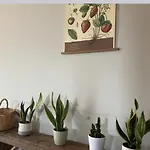 La Casa Delle Fragole アパート