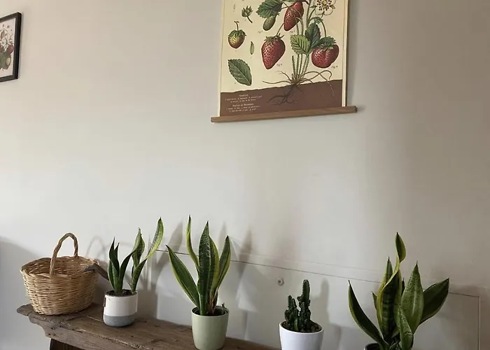 La Casa Delle Fragole Appartamento